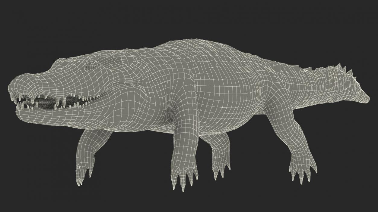 3D Rigged Crocodiles Collection model