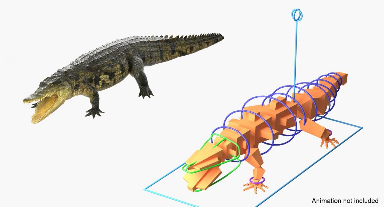 3D Rigged Crocodiles Collection model