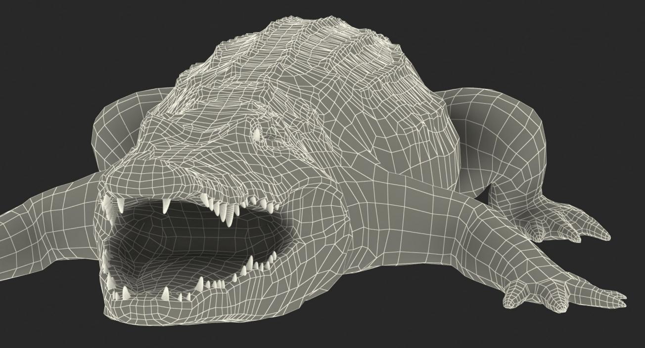 3D Rigged Crocodiles Collection model