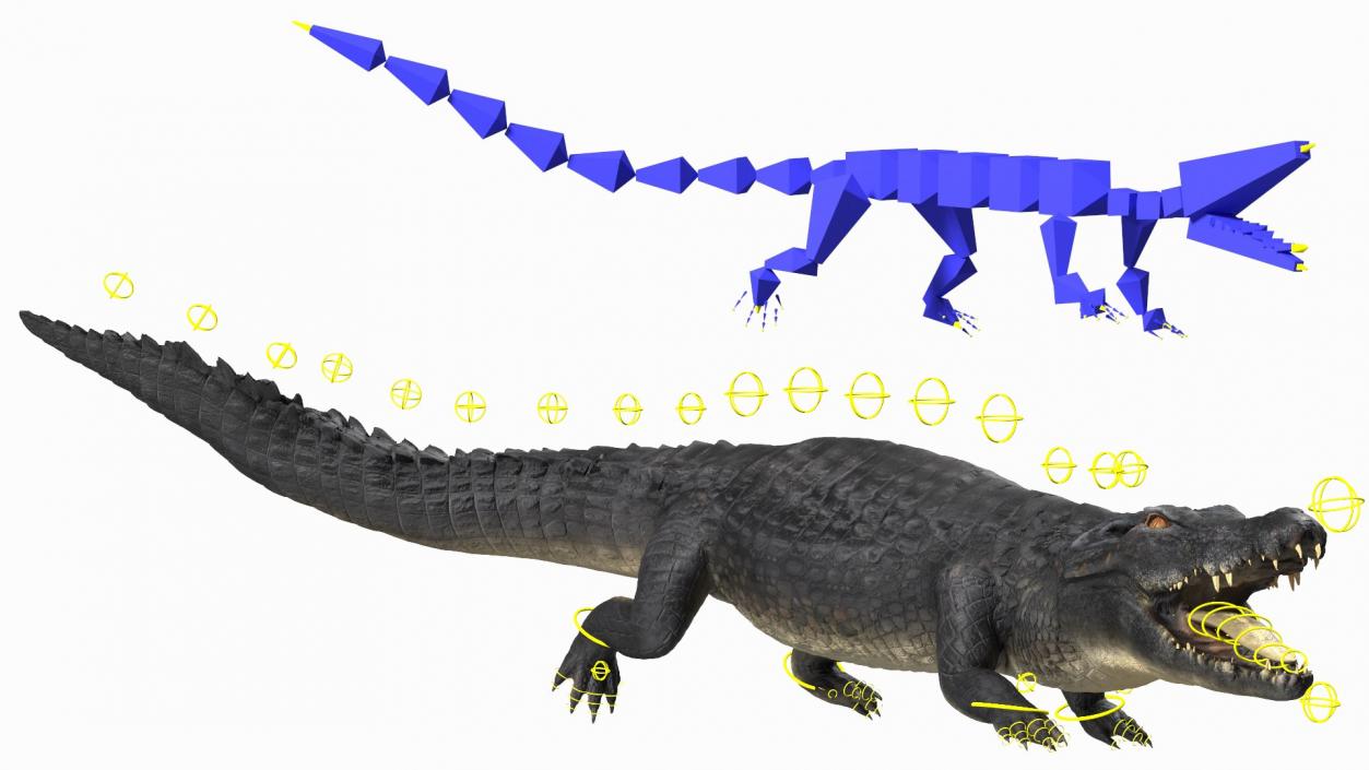 3D Rigged Crocodiles Collection model