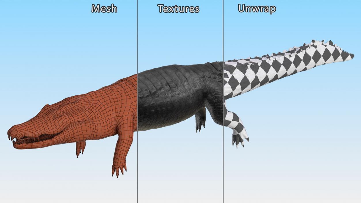 3D Rigged Crocodiles Collection model