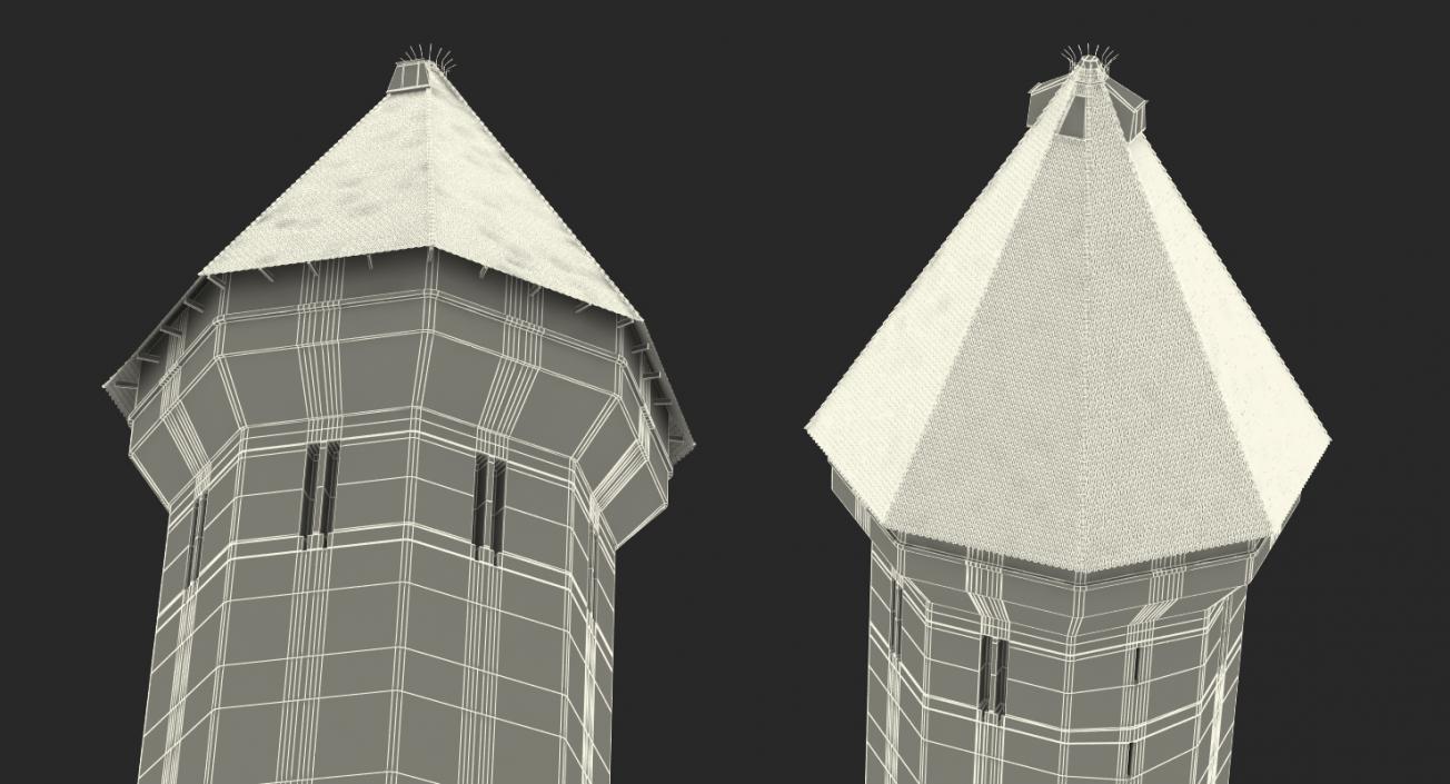 Medieval Tower 3D model