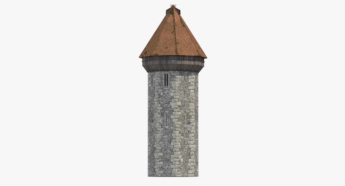 Medieval Tower 3D model