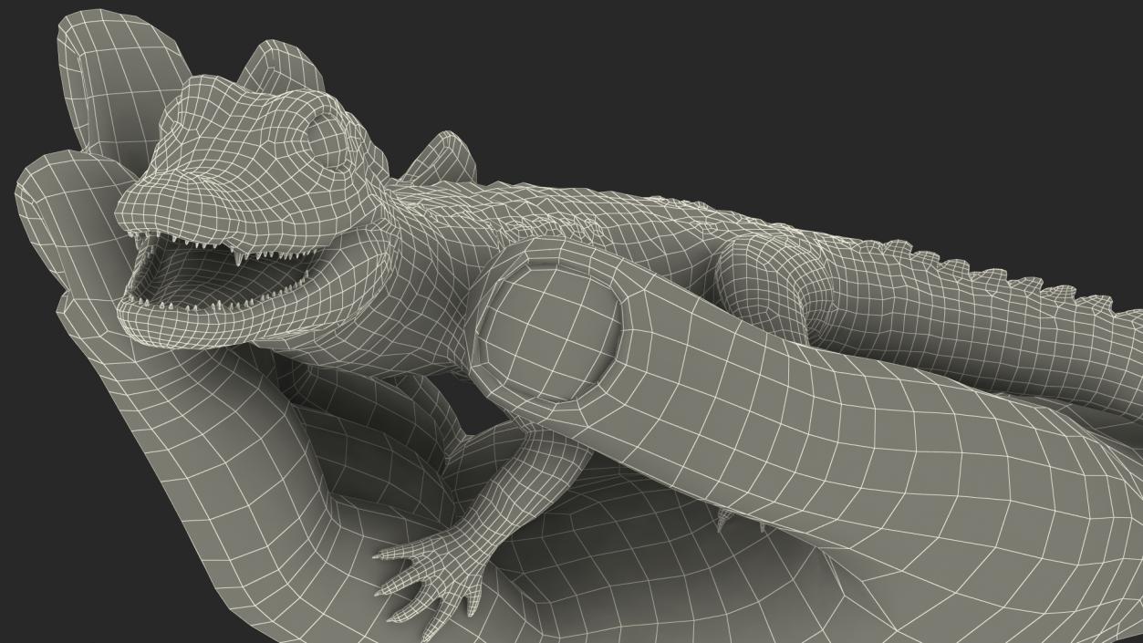 3D Baby Crocodile Man Hand model