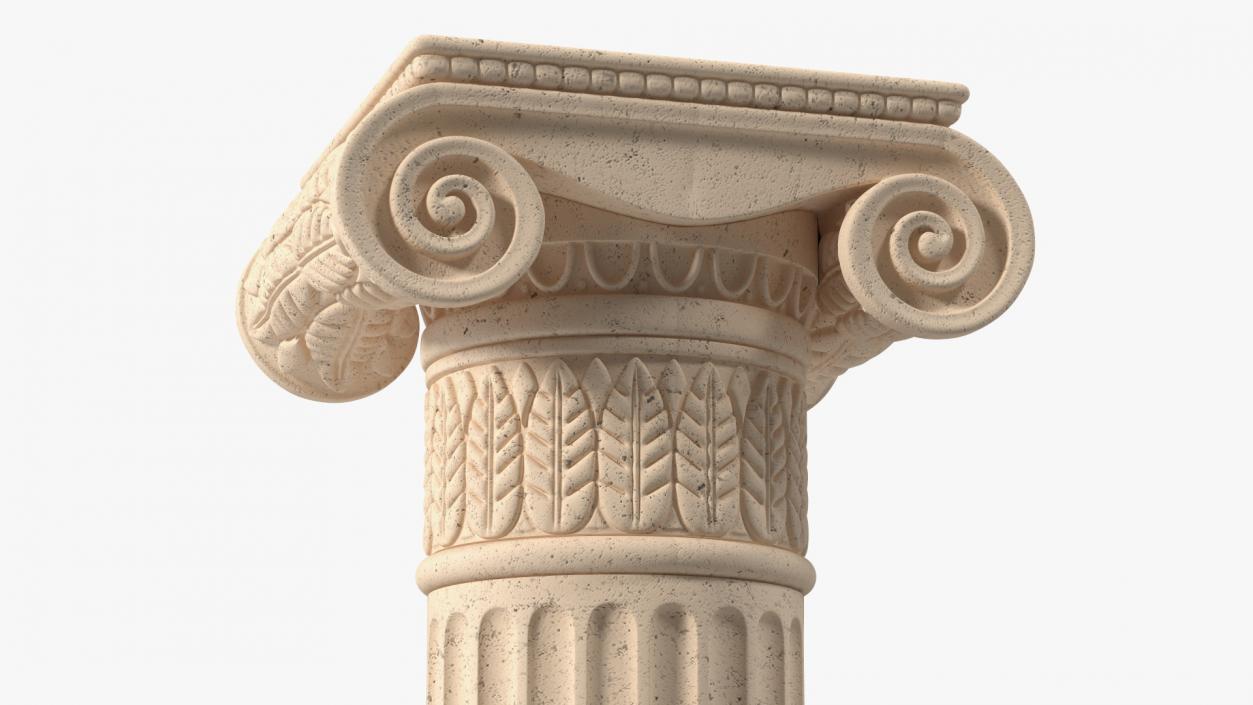 Greek Column Ionic Order 3D model