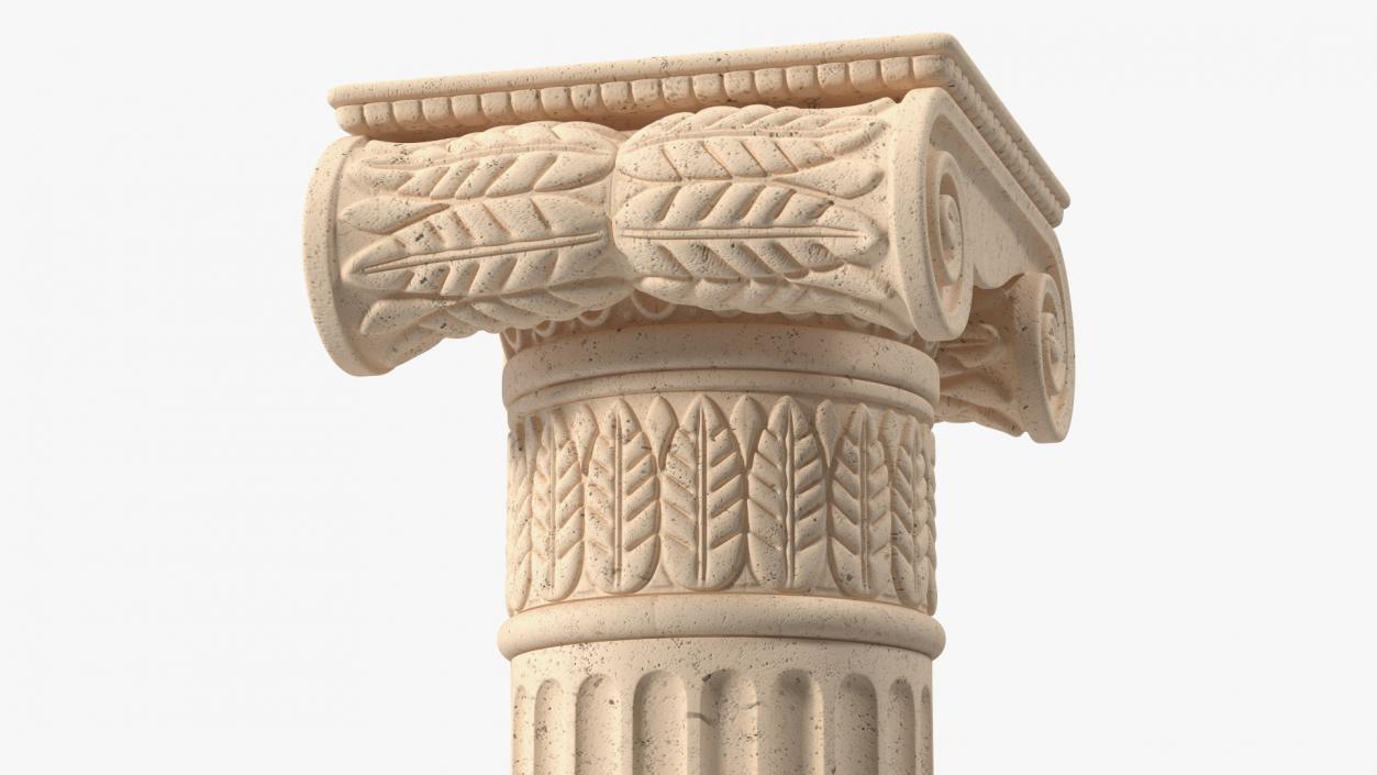 Greek Column Ionic Order 3D model