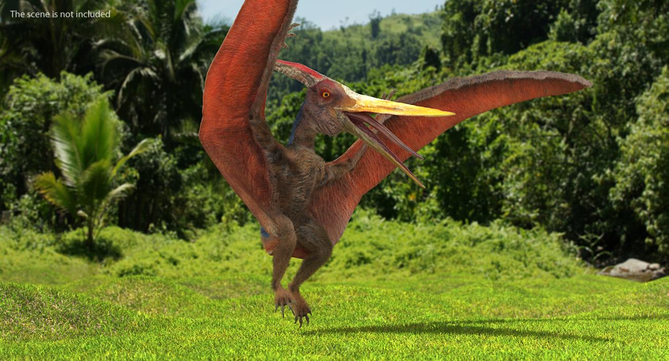 3D Pteranodon Rigged with Fur