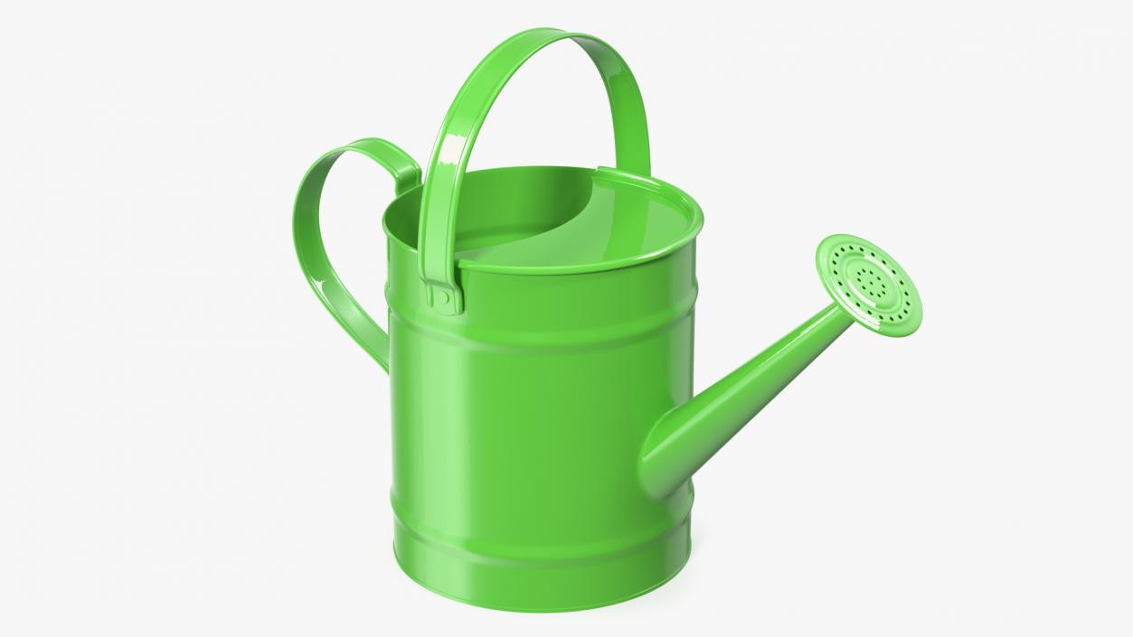 3D Metal Watering Can model