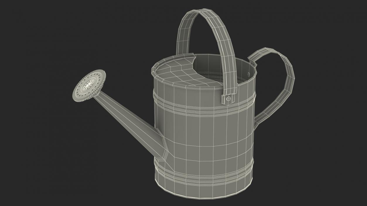 3D Metal Watering Can model