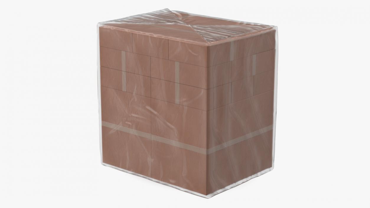 3D model Transparent Cargo Pallet Cover