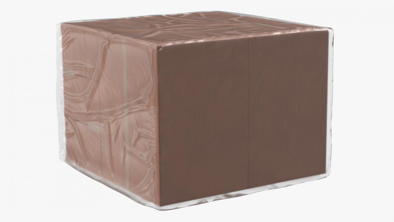 3D model Transparent Cargo Pallet Cover