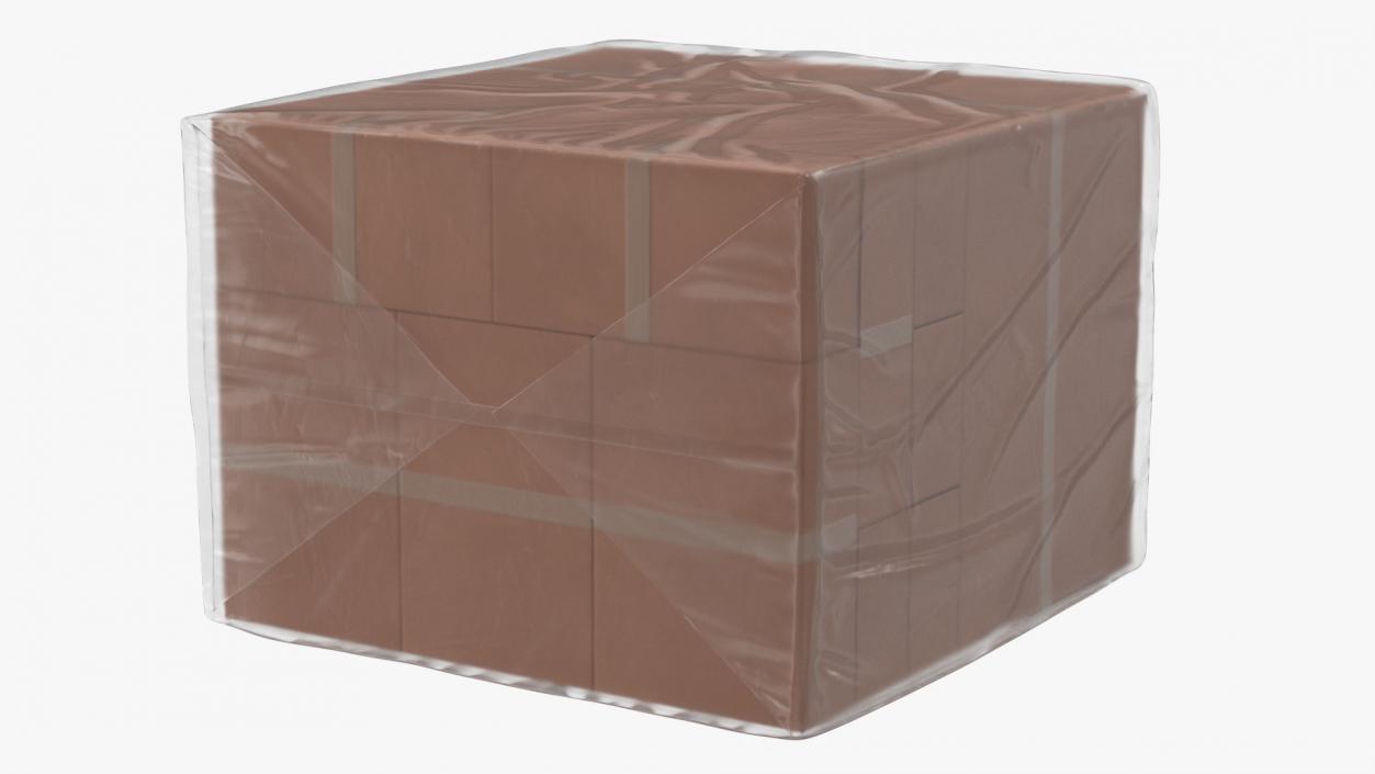 3D model Transparent Cargo Pallet Cover