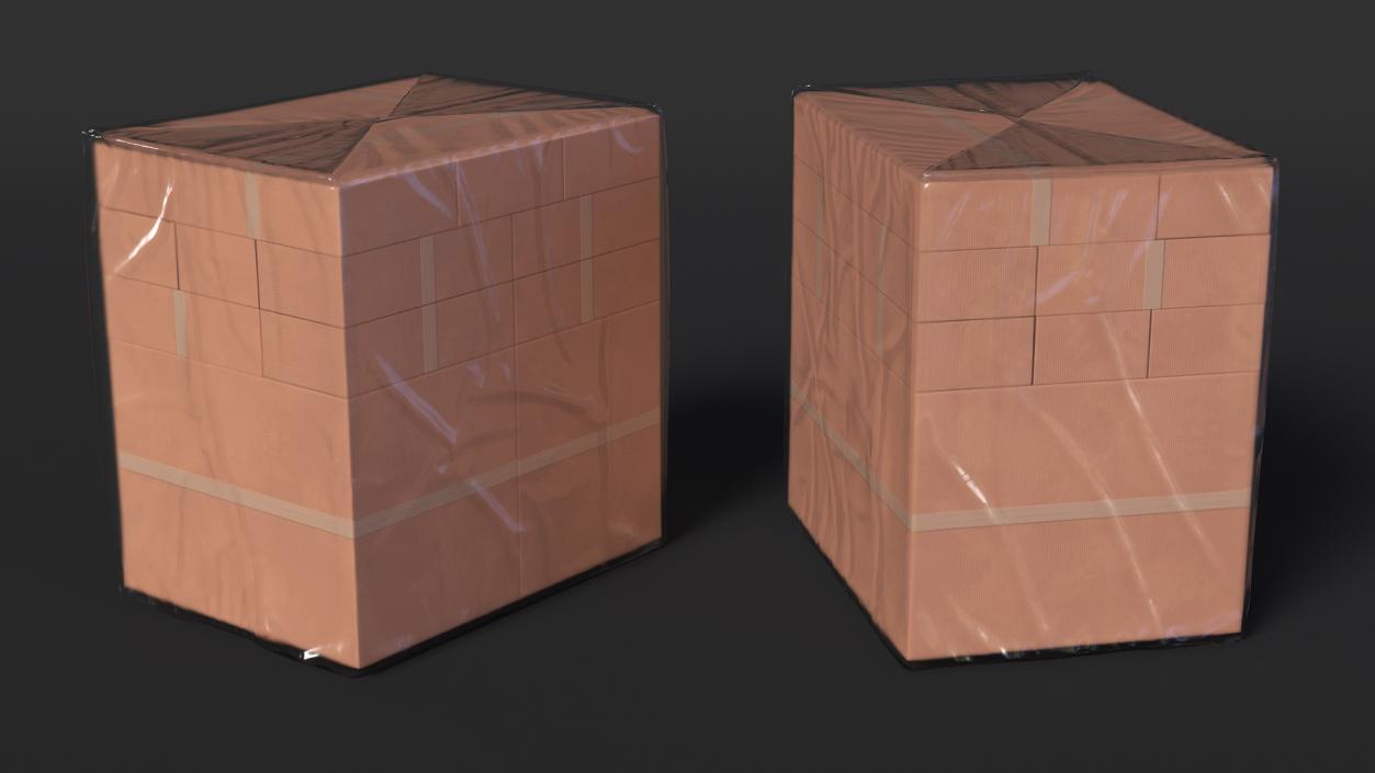 3D model Transparent Cargo Pallet Cover