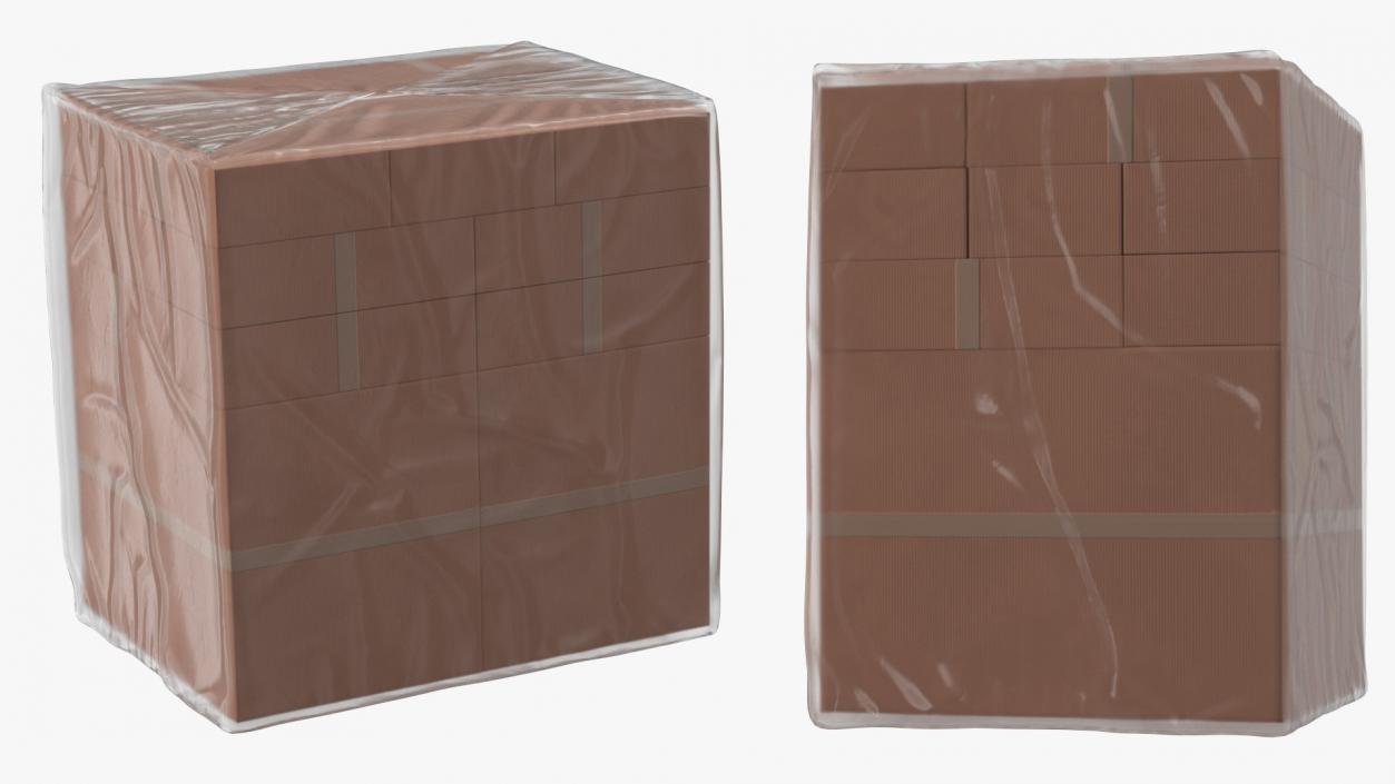 3D model Transparent Cargo Pallet Cover