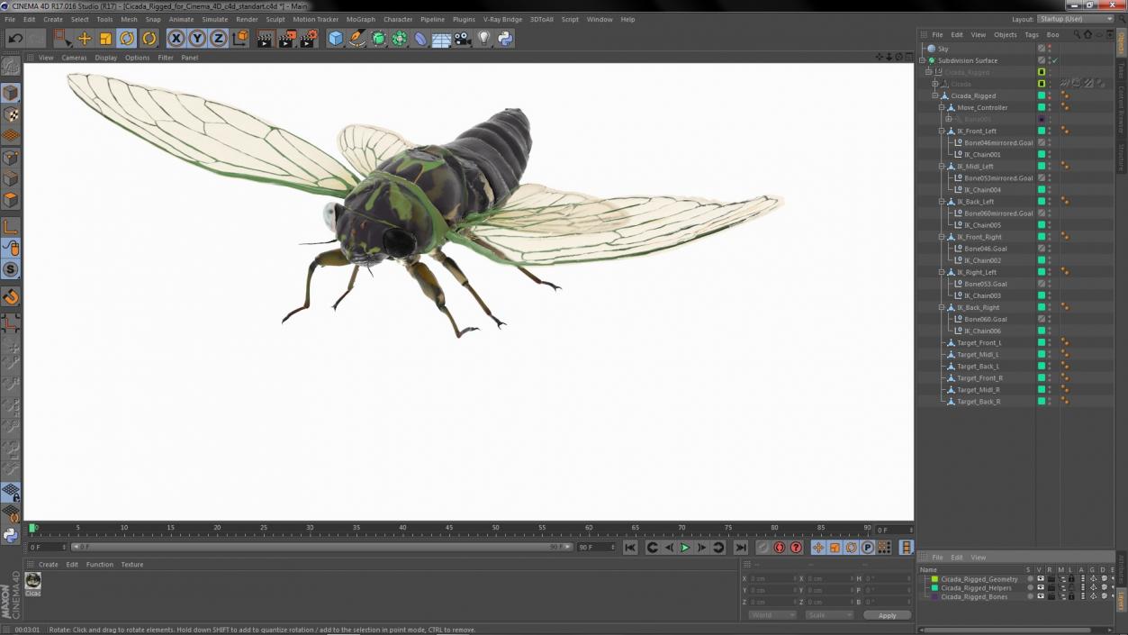 Cicada Rigged for Cinema 4D 3D