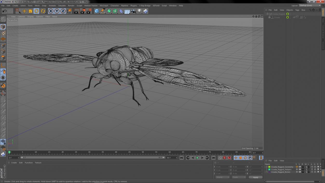 Cicada Rigged for Cinema 4D 3D