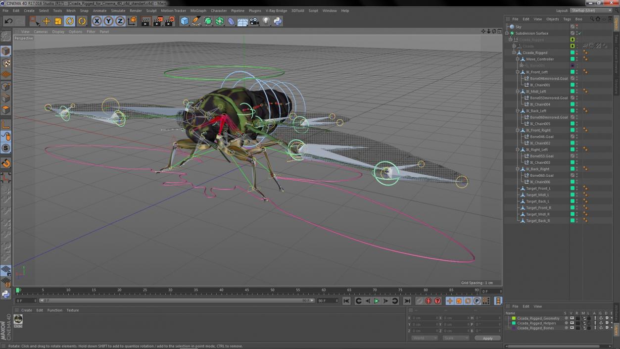 Cicada Rigged for Cinema 4D 3D