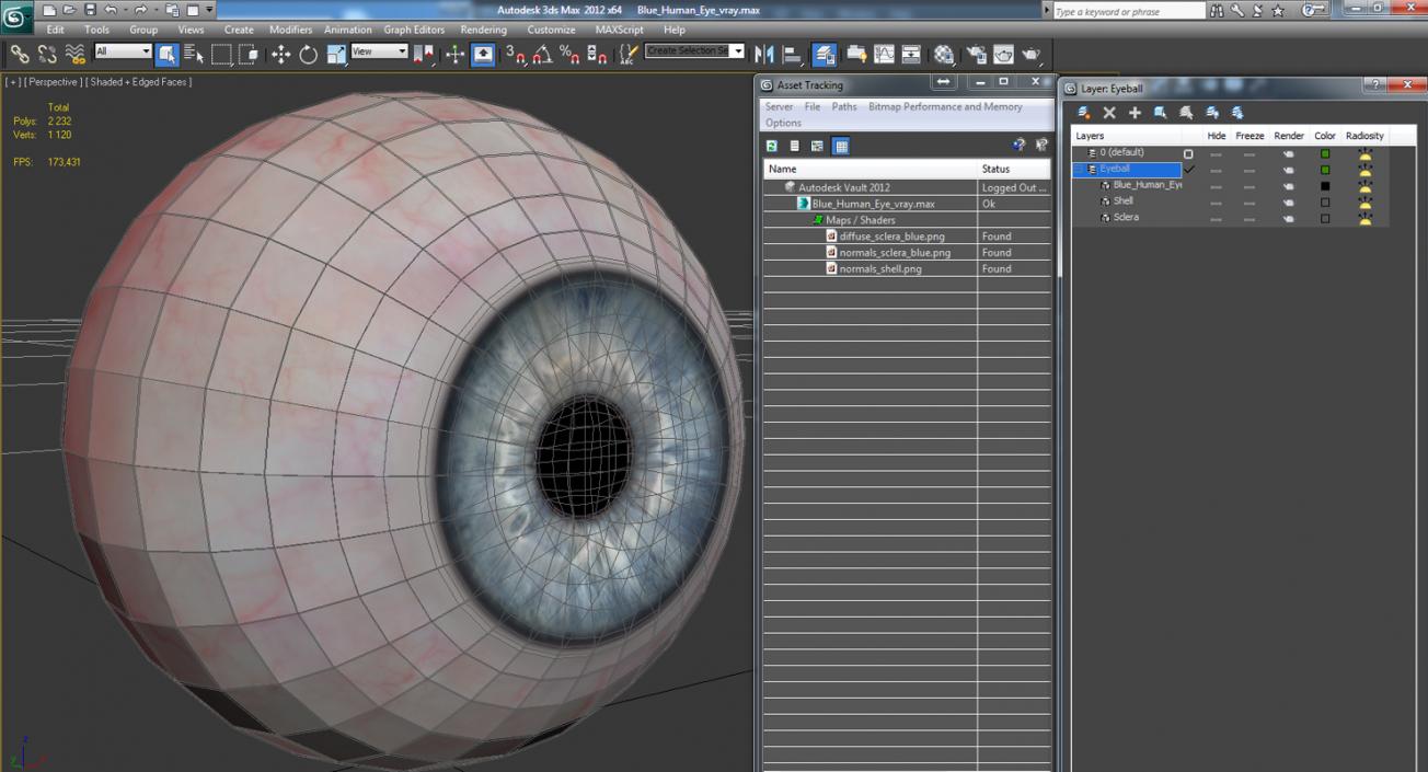 Blue Human Eye 3D model