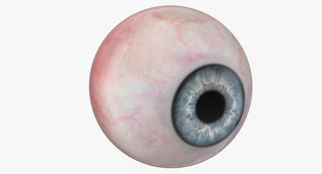 Blue Human Eye 3D model