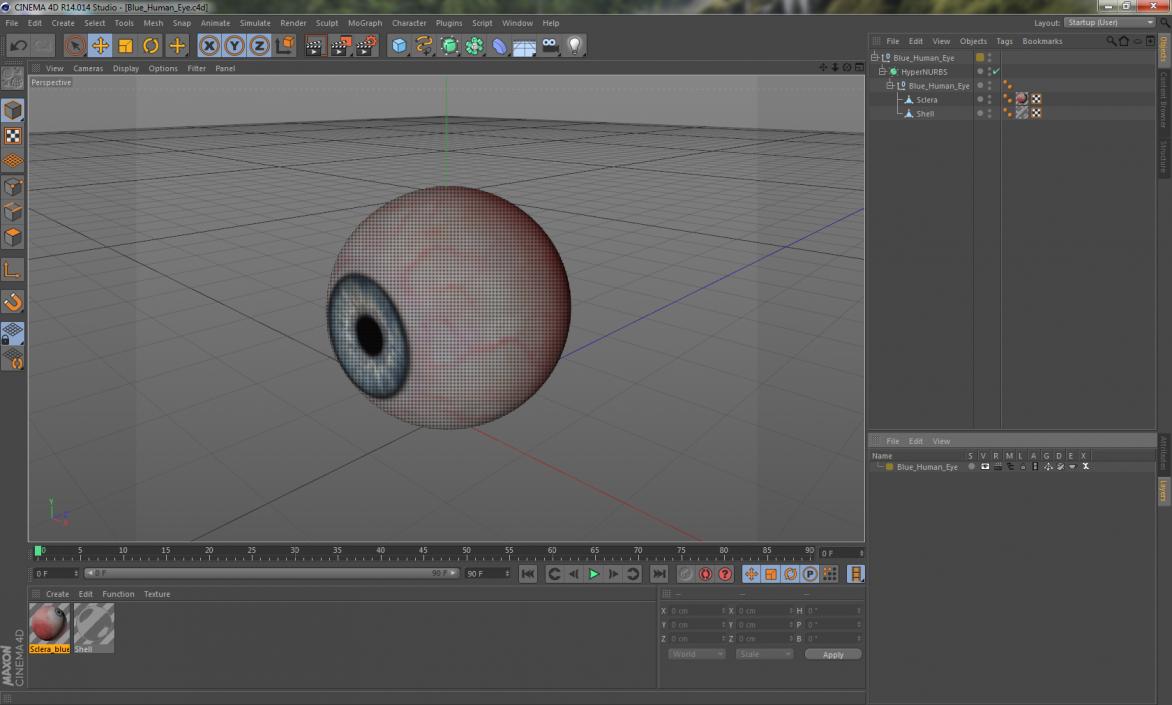 Blue Human Eye 3D model