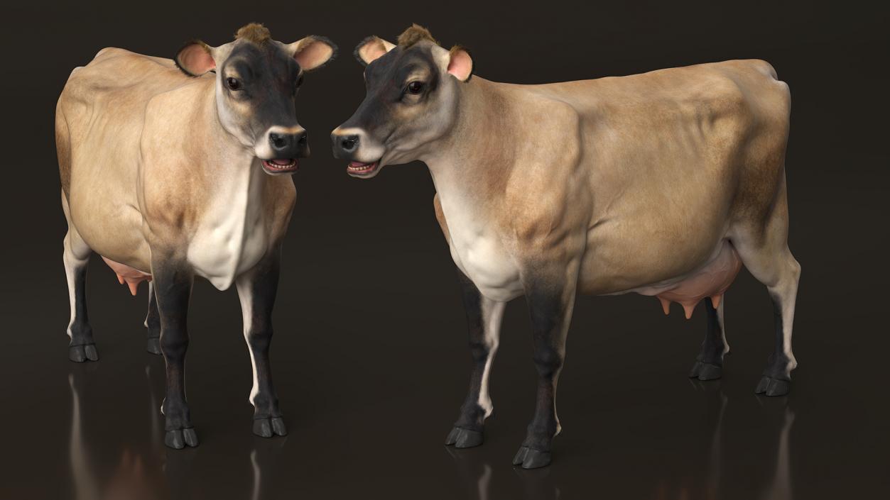 3D model Jersey Dairy Cow Fur