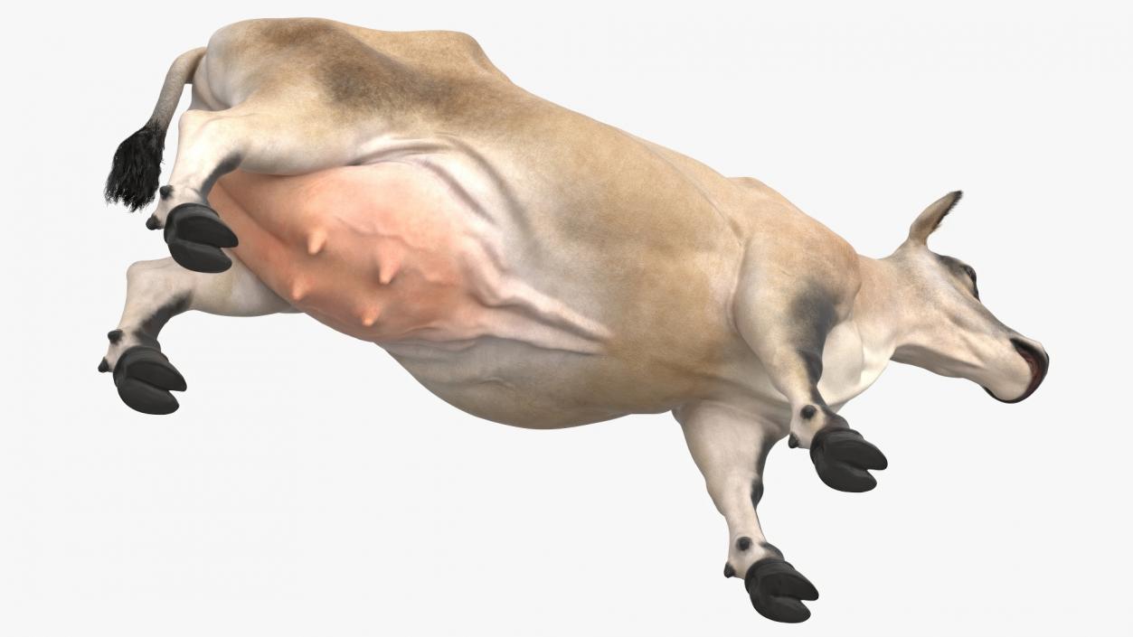 3D model Jersey Dairy Cow Fur