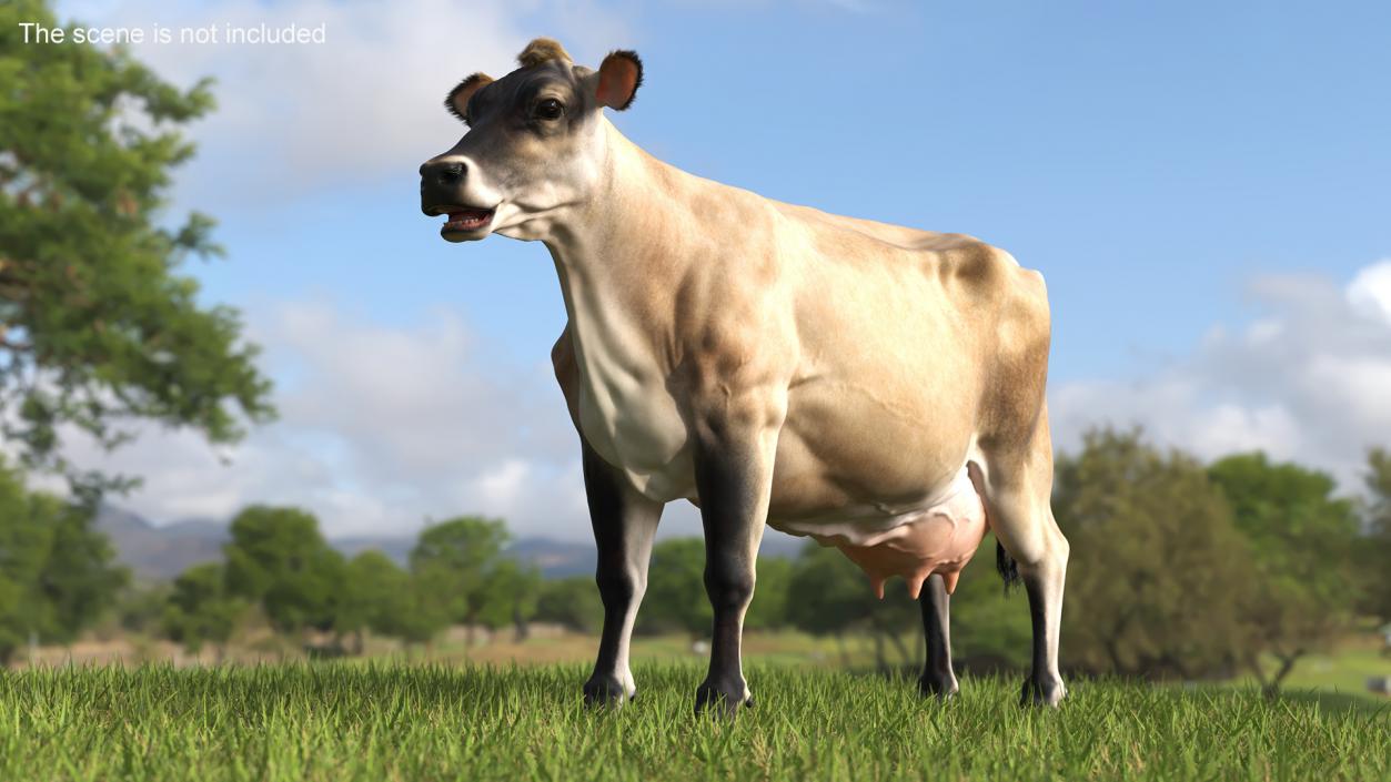 3D model Jersey Dairy Cow Fur