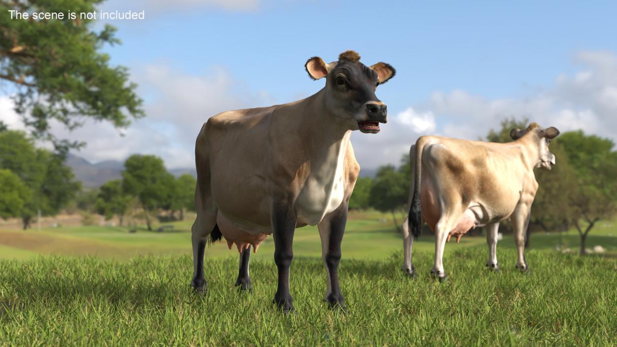 3D model Jersey Dairy Cow Fur