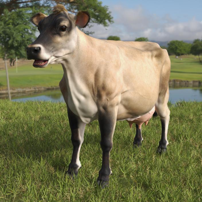 3D model Jersey Dairy Cow Fur