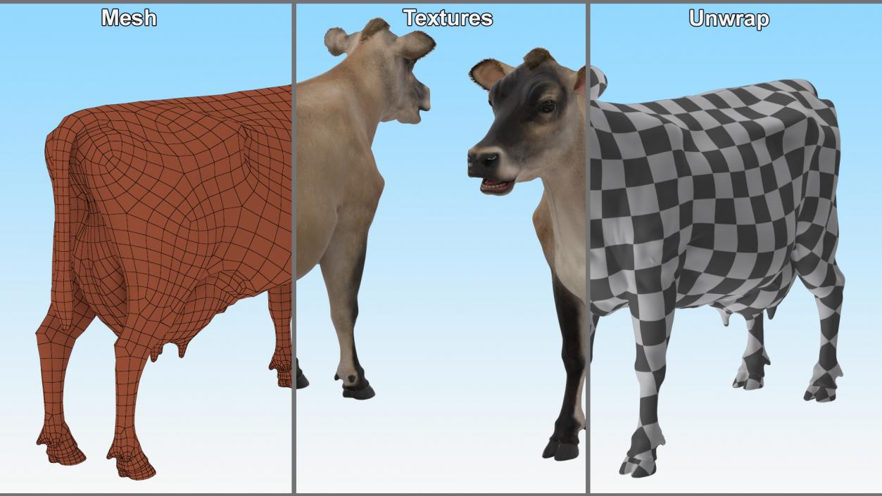 3D model Jersey Dairy Cow Fur