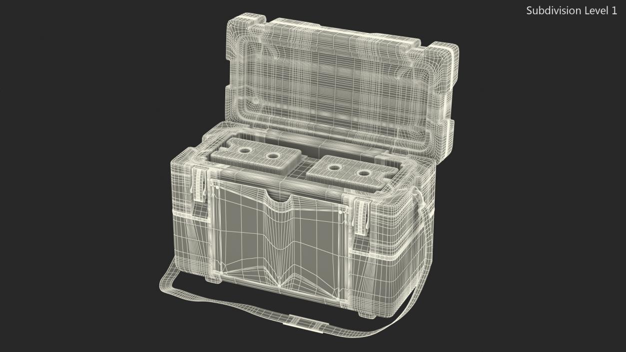 3D Open Vaccine Transport Box Blue