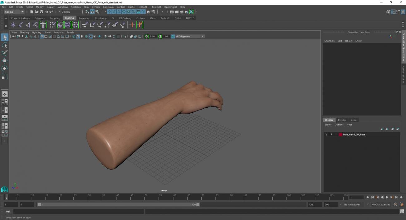 3D Man Hand OK Pose