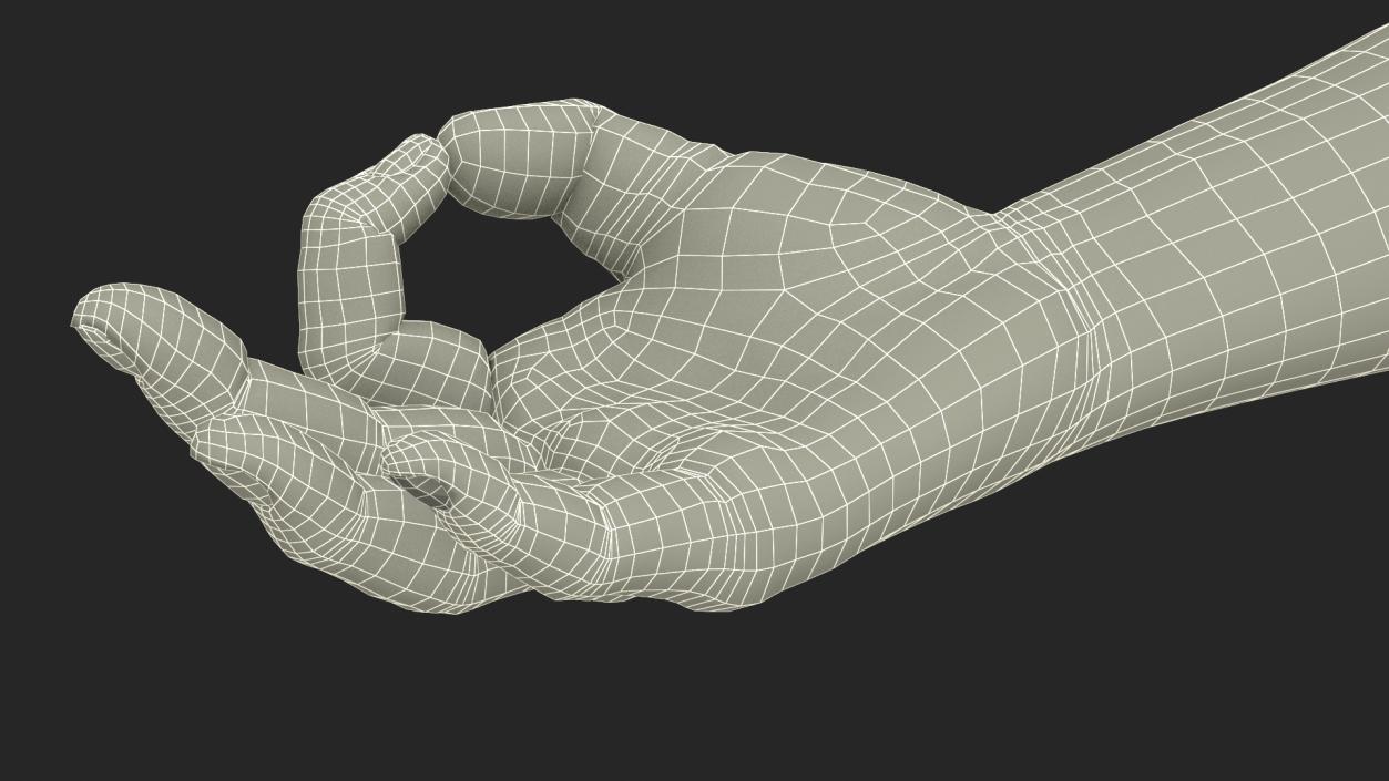 3D Man Hand OK Pose