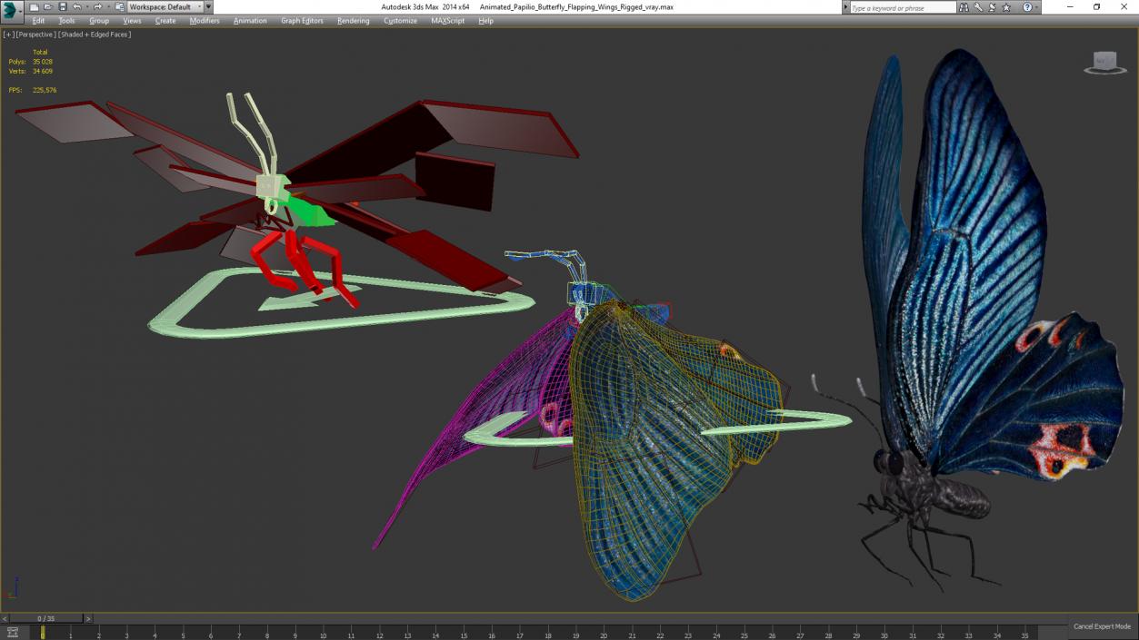 3D Animated Papilio Butterfly Flapping Wings Rigged model