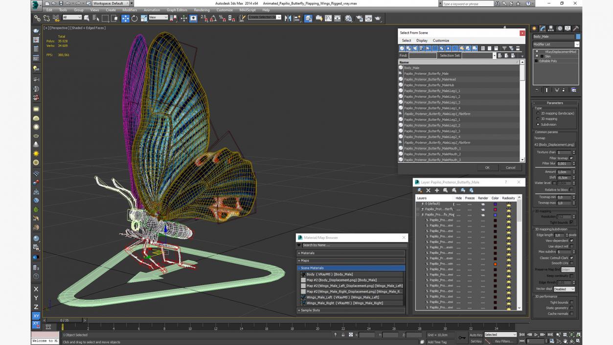 3D Animated Papilio Butterfly Flapping Wings Rigged model