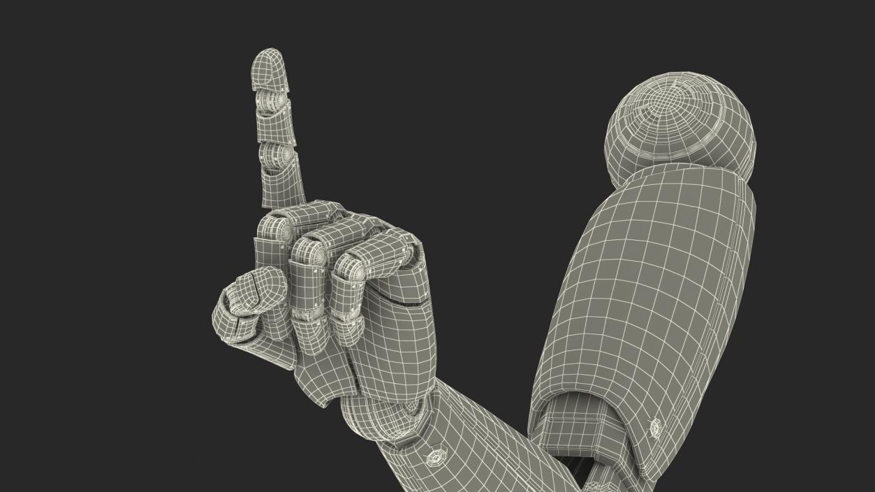 3D Hand of Humanoid Robot One Finger Pose model