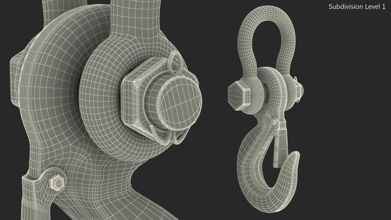 Hook with Shackle 3D