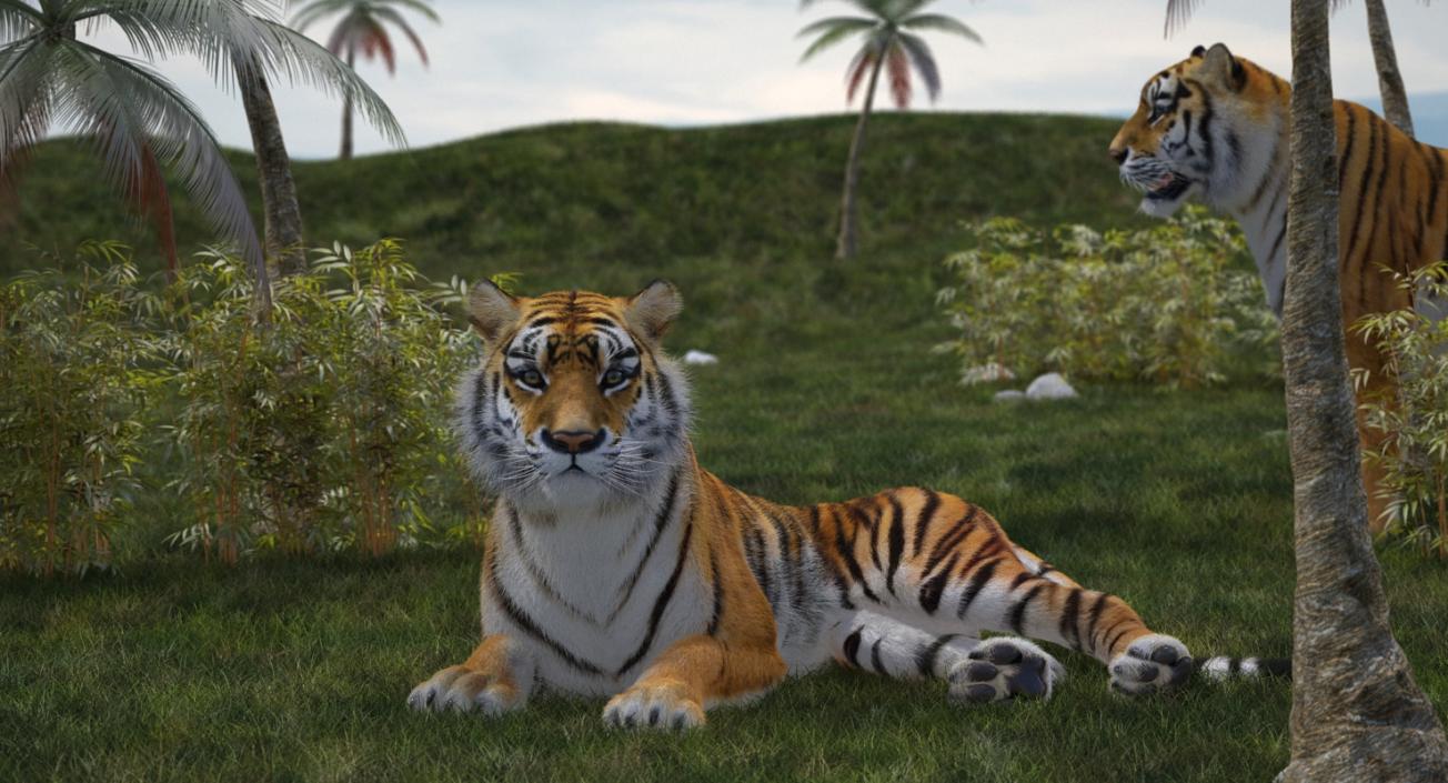 3D model Lying Tiger with Fur