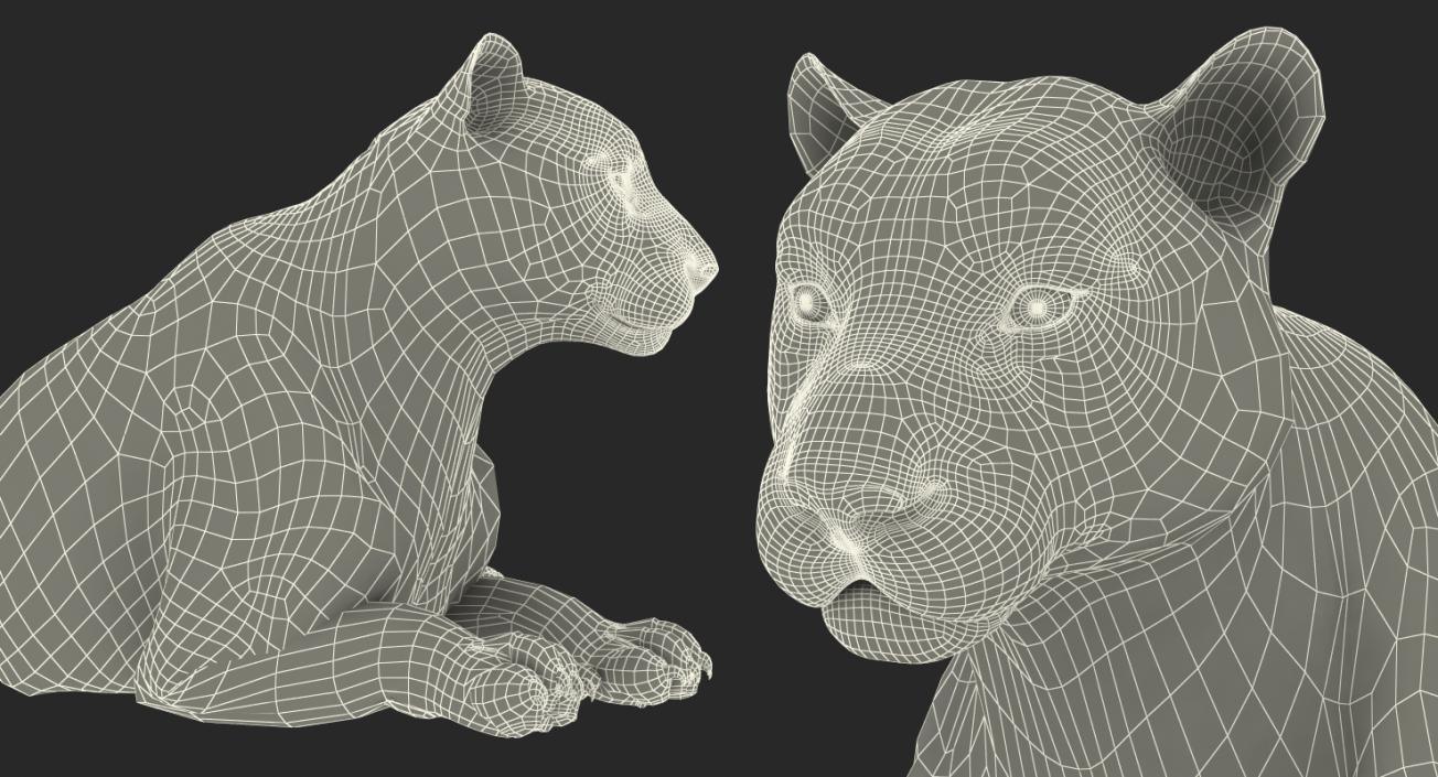 3D model Lying Tiger with Fur