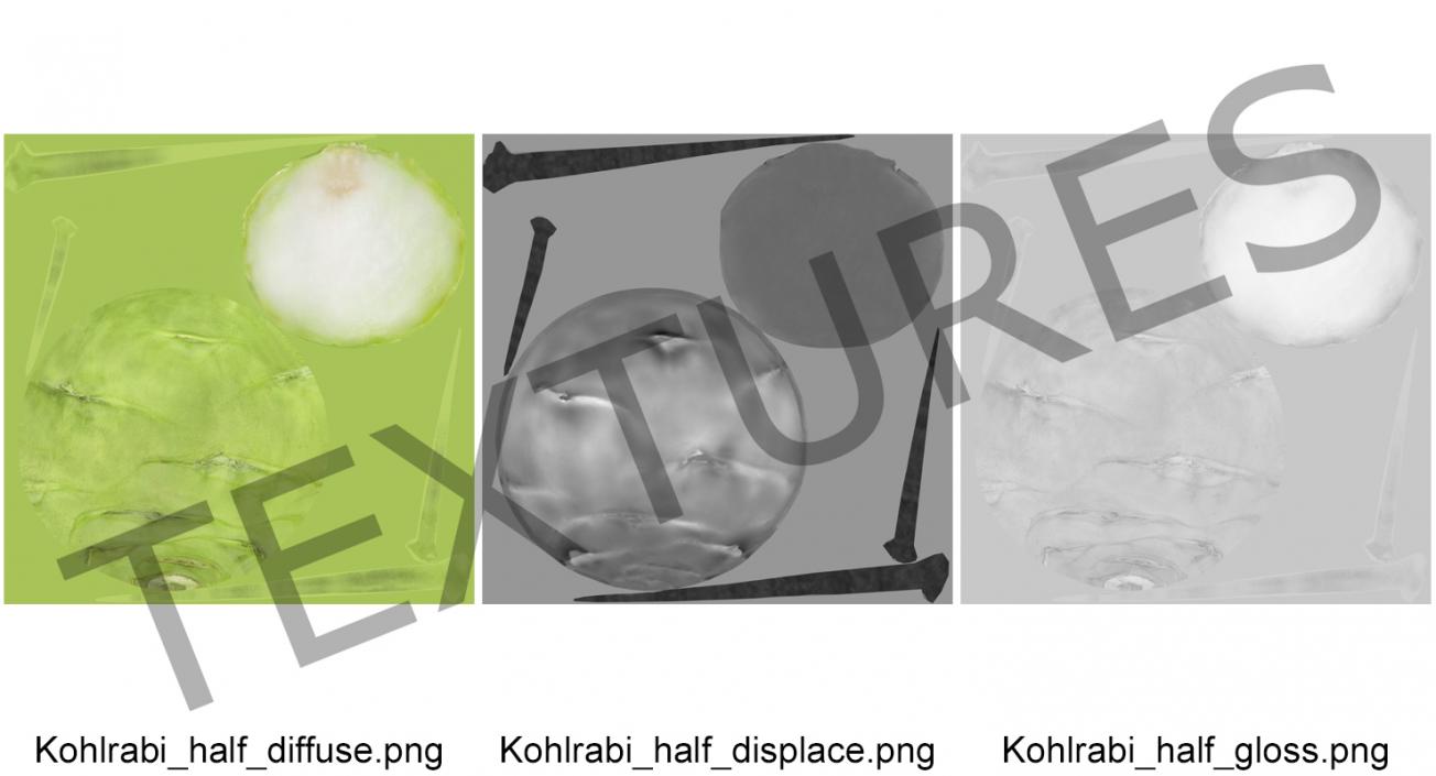 3D model Kohlrabi or German Turnip Half