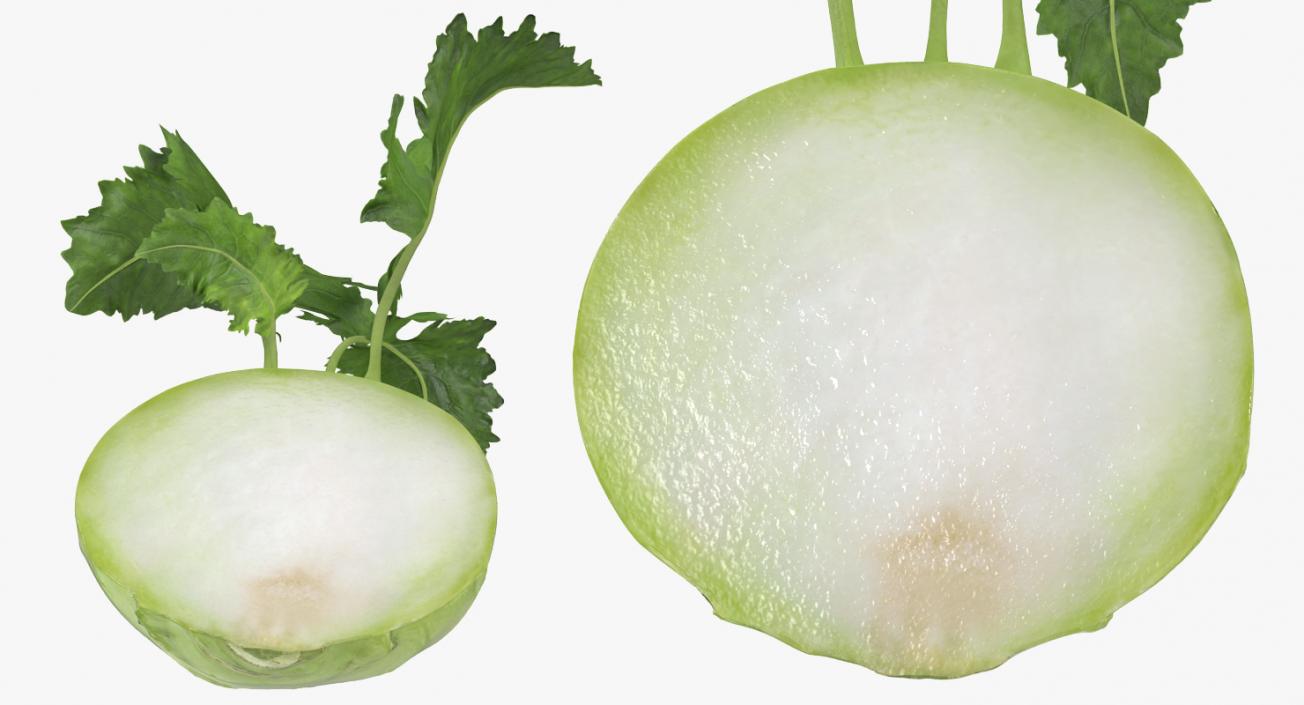 3D model Kohlrabi or German Turnip Half