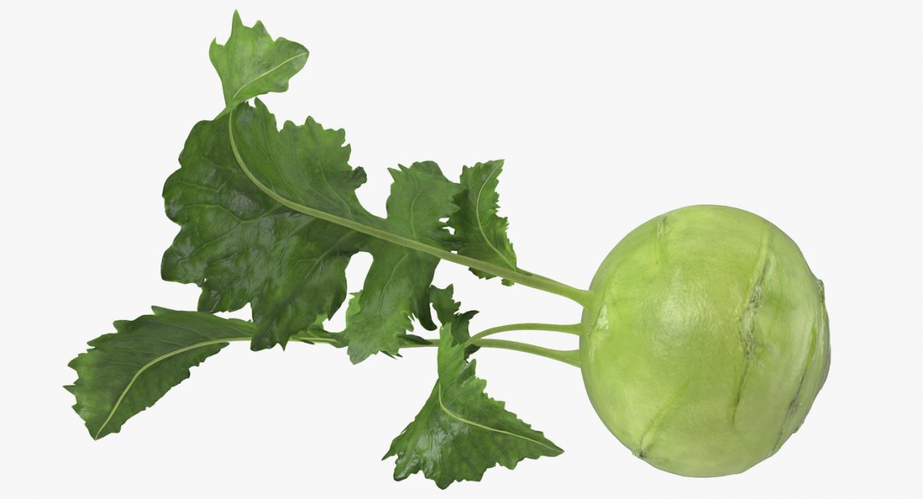 3D model Kohlrabi or German Turnip Half