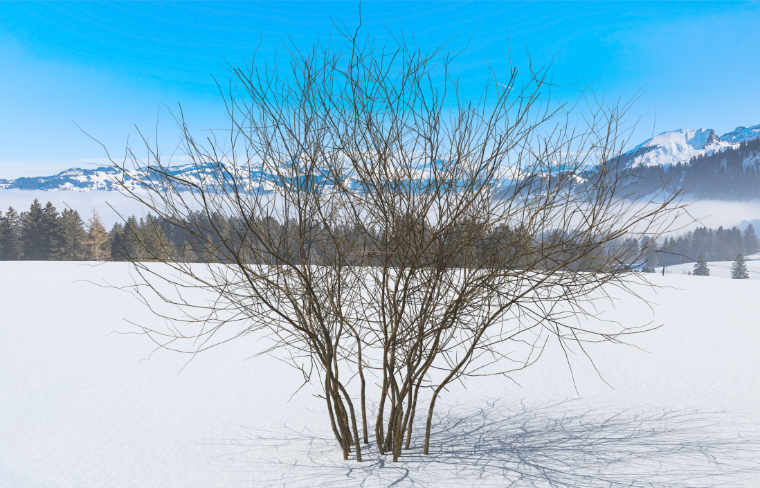 3D Winter Bush