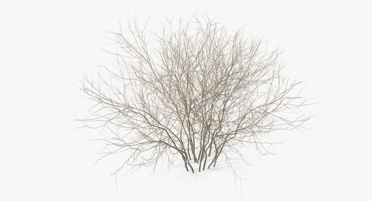 3D Winter Bush