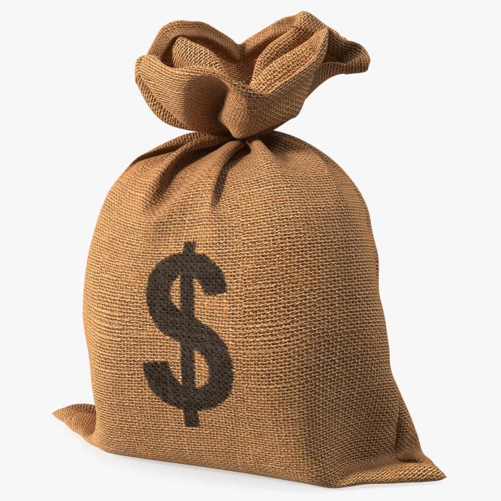 Money Sack with Dollar Symbol 3D model