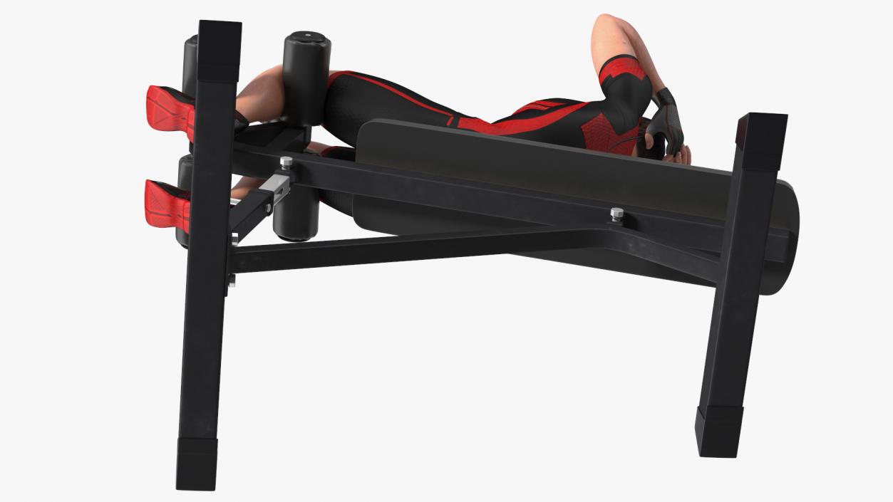 3D Fitness Trainer Crunch Bench model