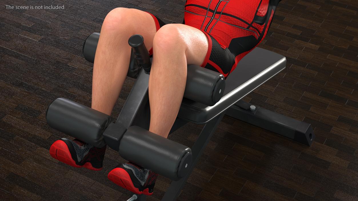 3D Fitness Trainer Crunch Bench model