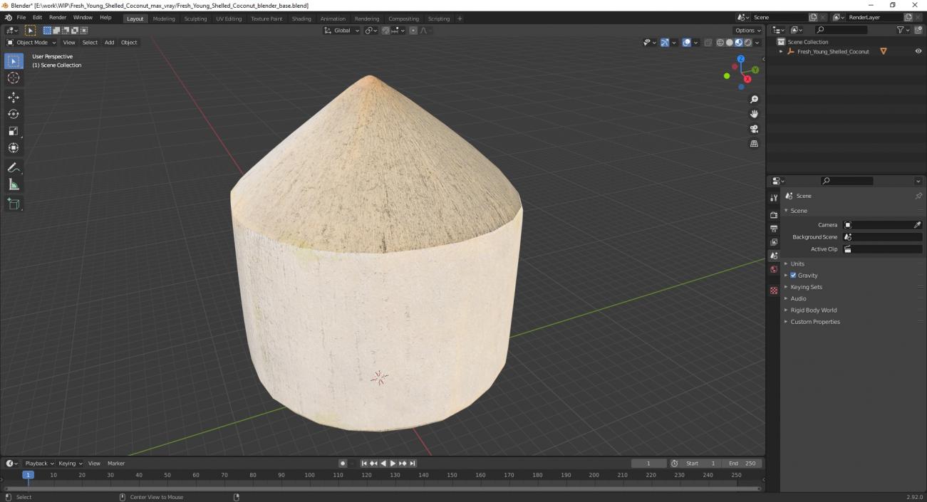 Fresh Young Shelled Coconut 3D