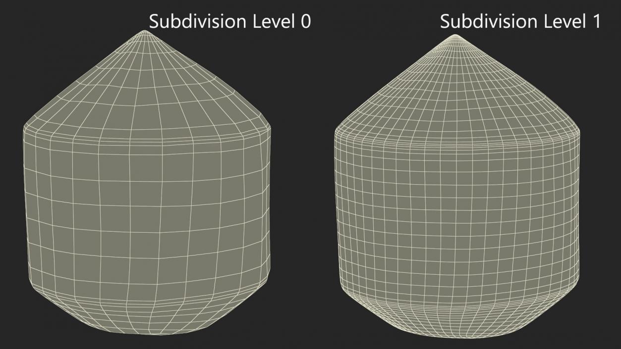 Fresh Young Shelled Coconut 3D