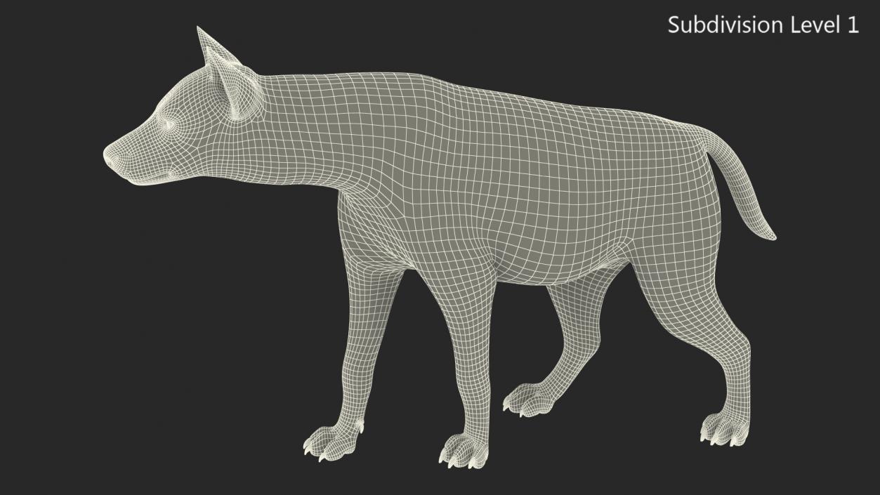 Hyena Walking Pose Fur 3D